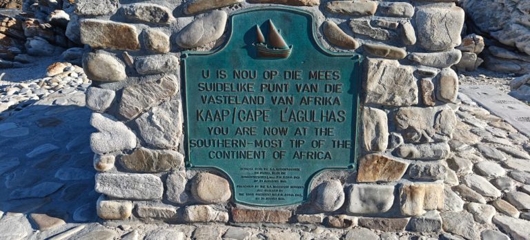 WhatsApp Image 2025-04-08 at 5.54.33 PM (3)